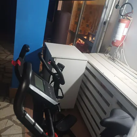 Kyllini Am Relaxen Mit Hund