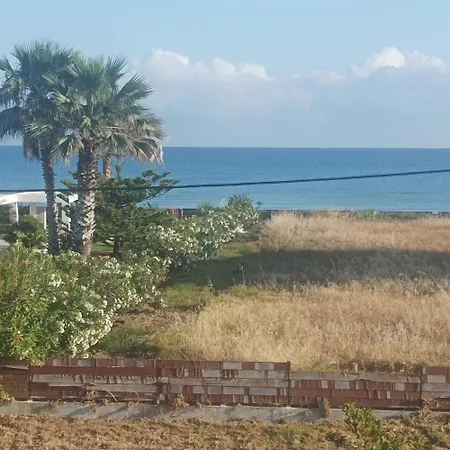 Kyllini Am Relaxen Mit Hund *