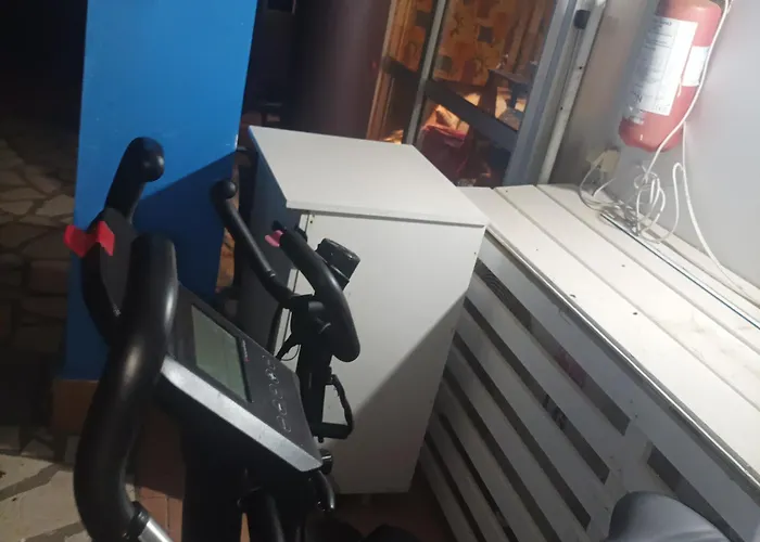 Kyllini Am Relaxen Mit Hund