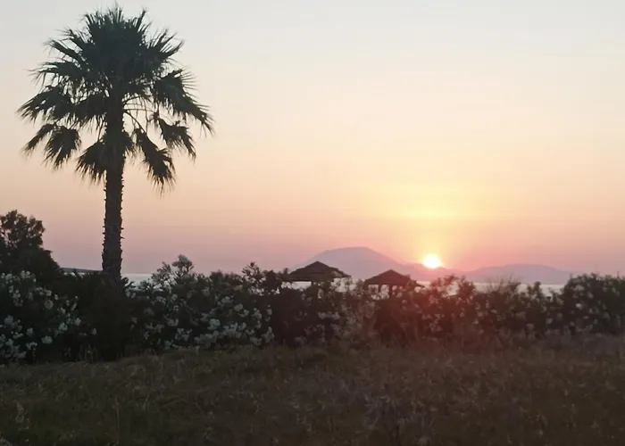 Lejlighed Kyllini Am Relaxen Mit Hund