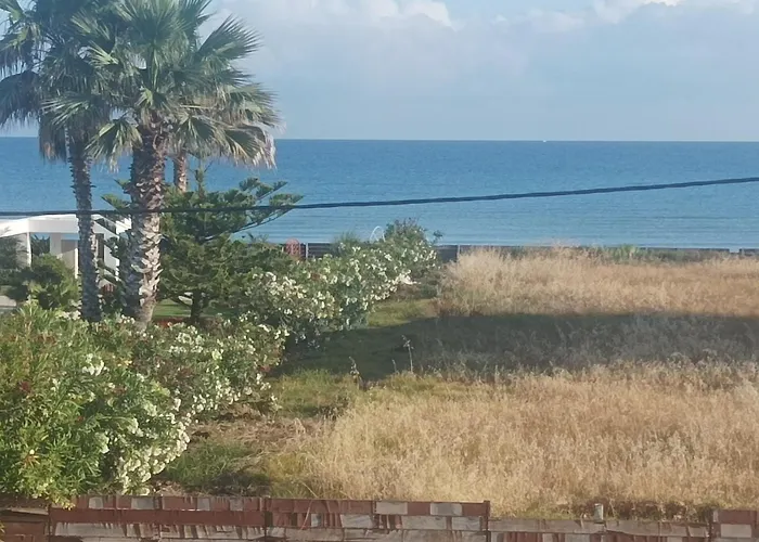 Kyllini Am Relaxen Mit Hund *