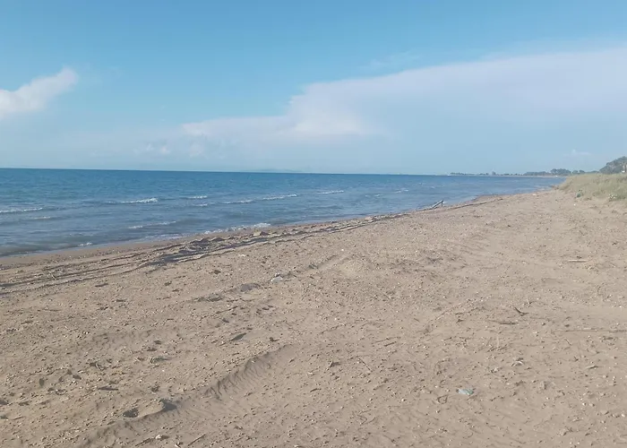 Lejlighed Kyllini Am Relaxen Mit Hund