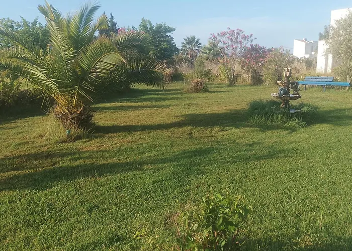 Kyllini Am Relaxen Mit Hund Lejlighed Myrsini (Kastro-Kyllini)