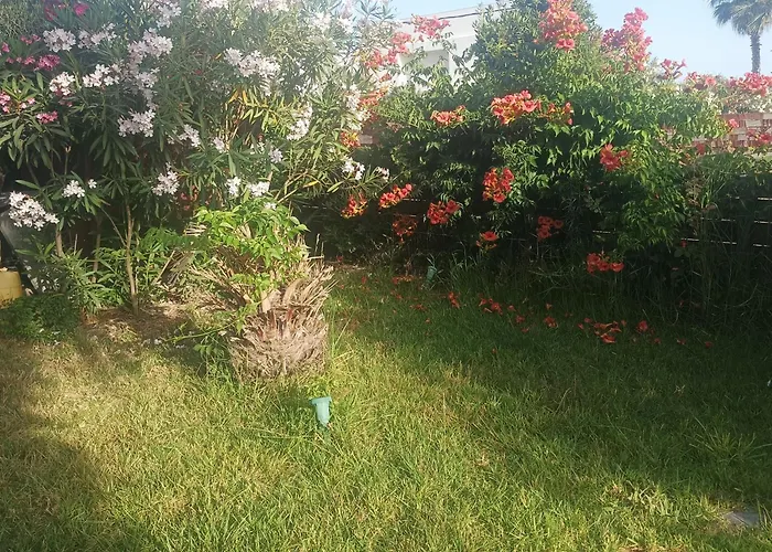 Lejlighed Kyllini Am Relaxen Mit Hund